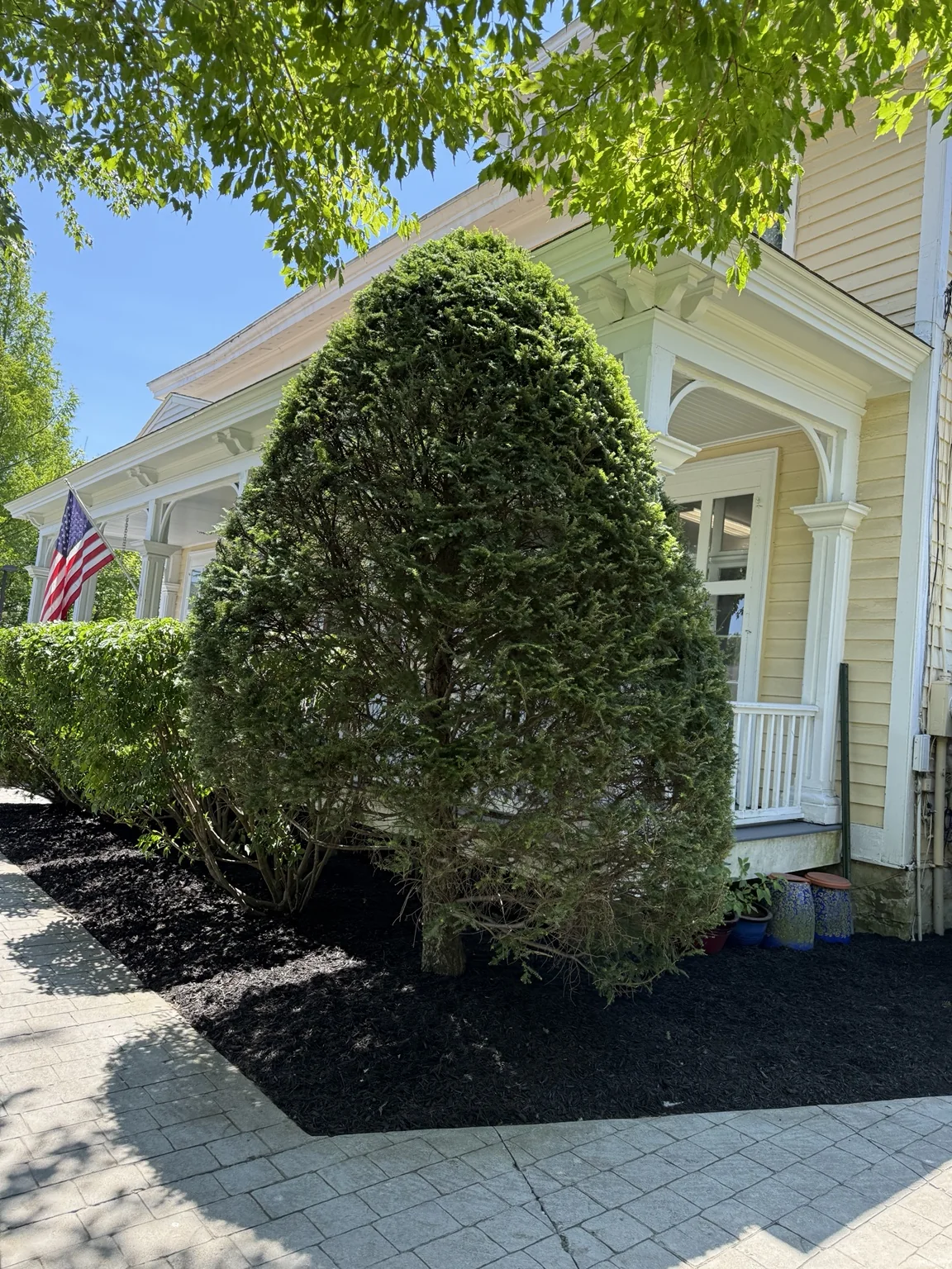 Fresh black mulch around a commercial property entrance in Saratoga Springs