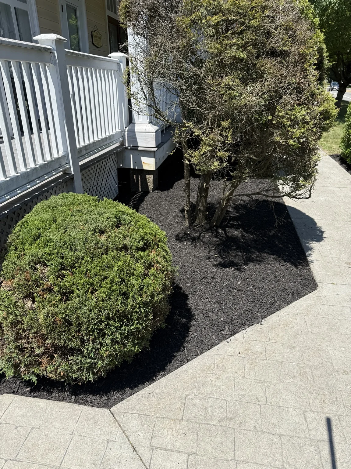Freshly edged and mulched commercial landscape bed near an accessible entrance