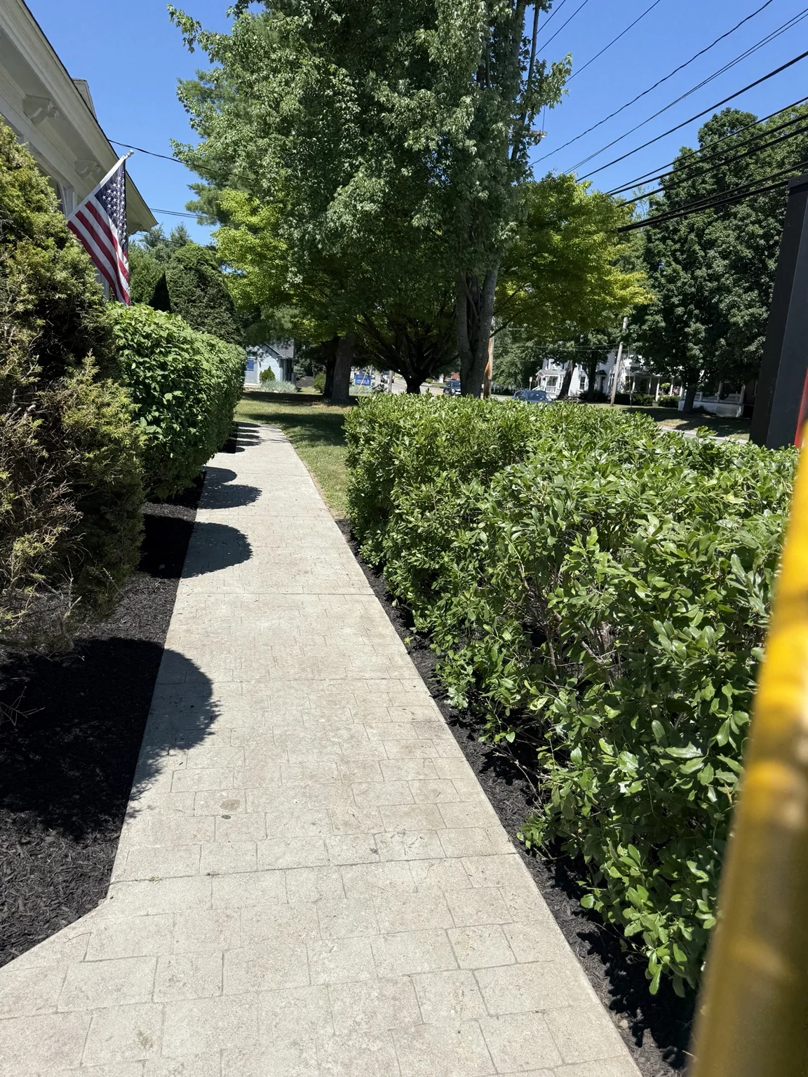 Commercial walkway with trimmed hedges and fresh black mulch