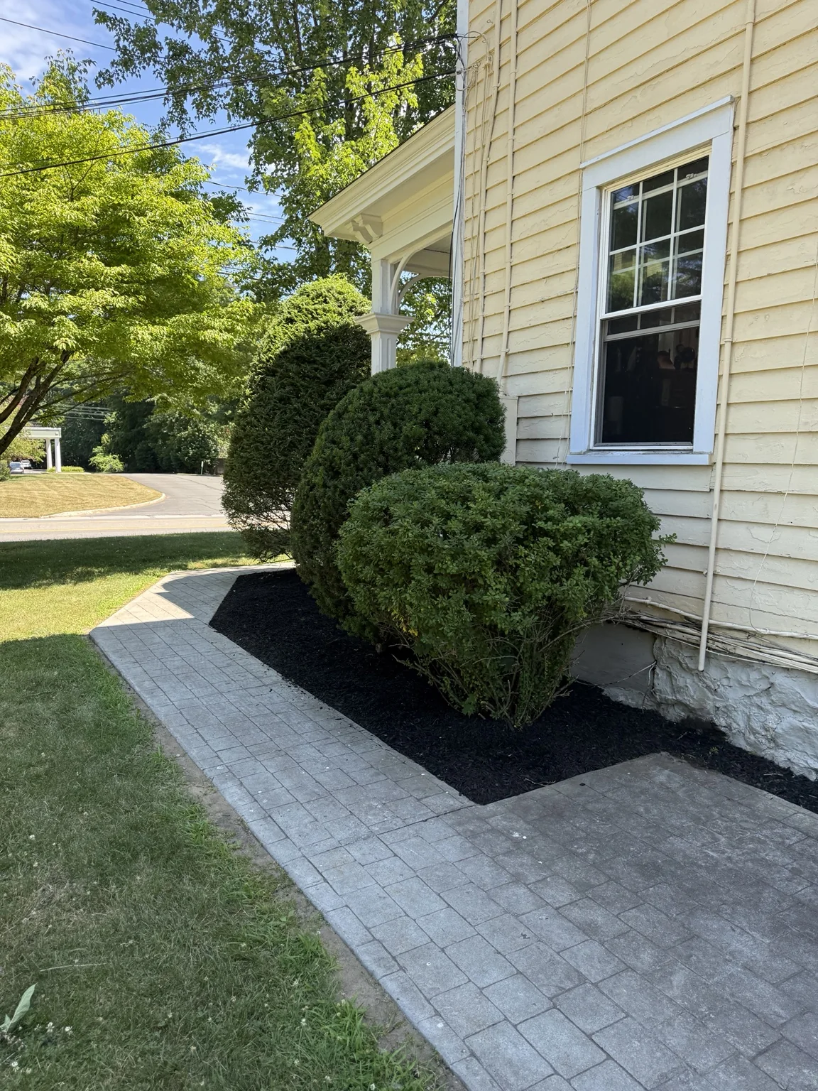 Refreshed landscape beds and shaped shrubs along a Saratoga Springs commercial building