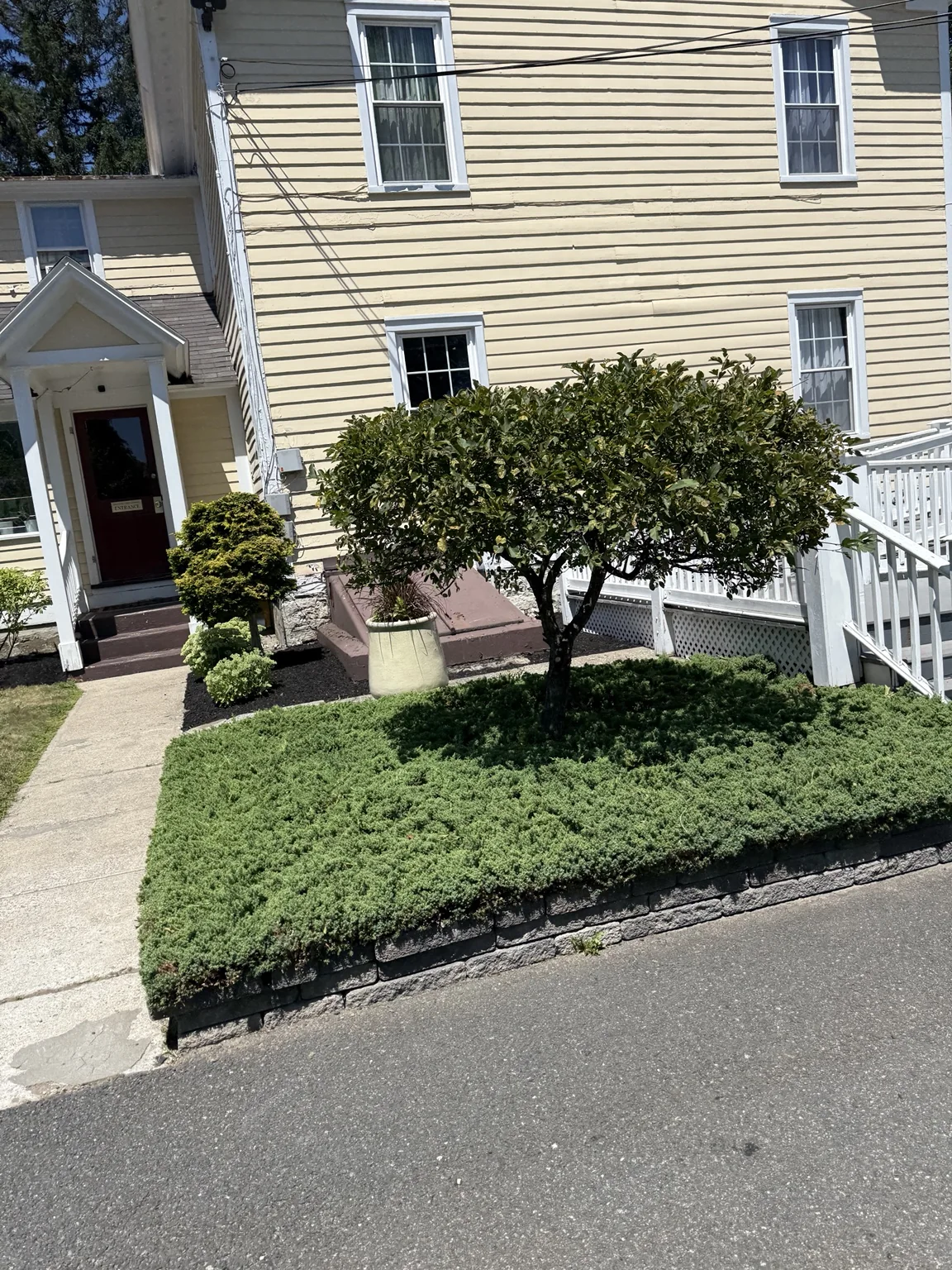 Completed commercial landscape cleanup with shrubs, groundcover and fresh mulch