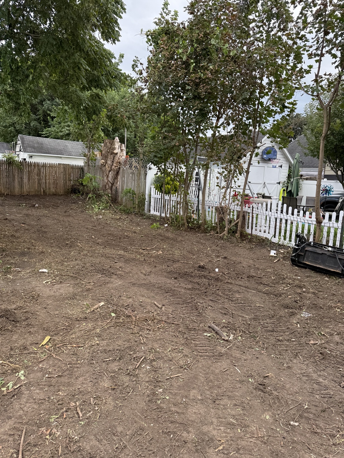 Open yard after brush and vegetation removal