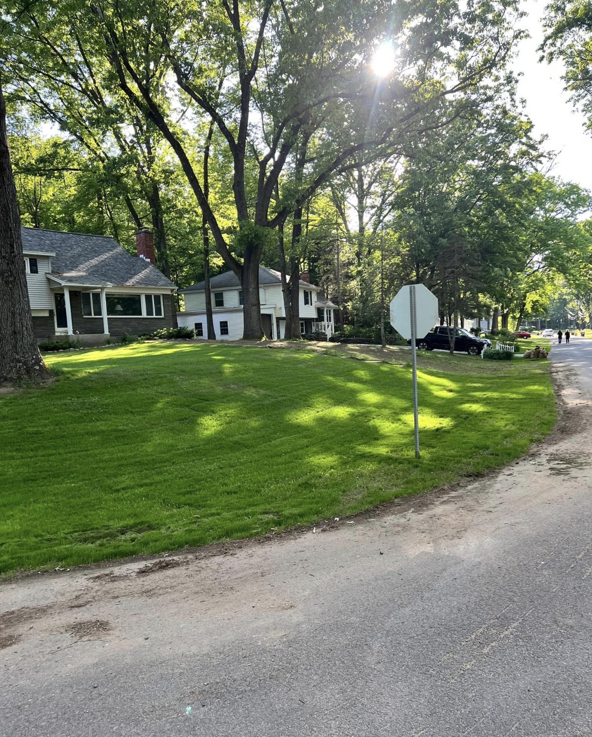 After lawn renovation