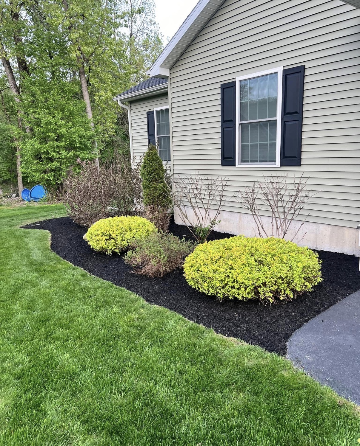 After shrub bed cleanup
