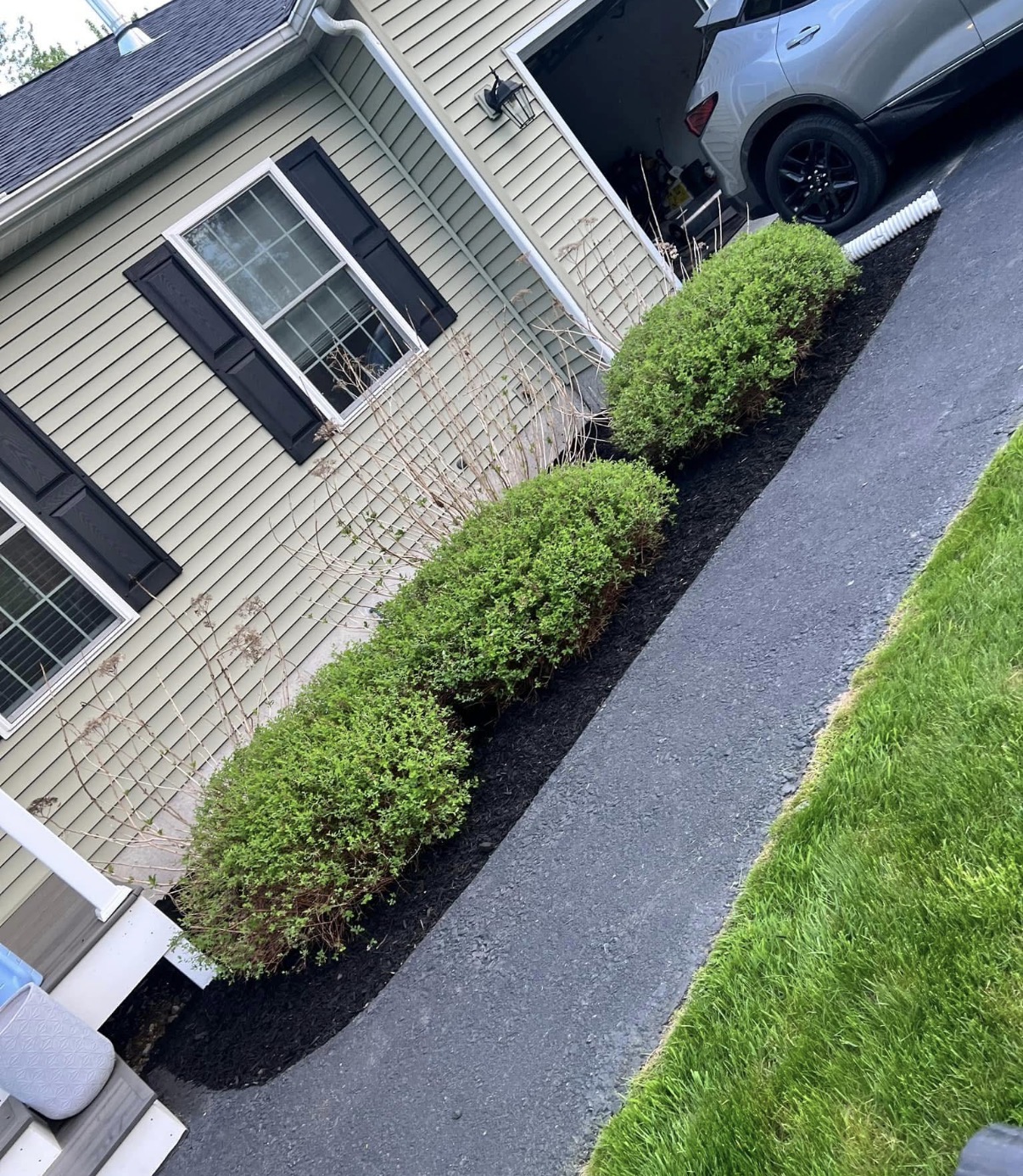 After shrub bed cleanup