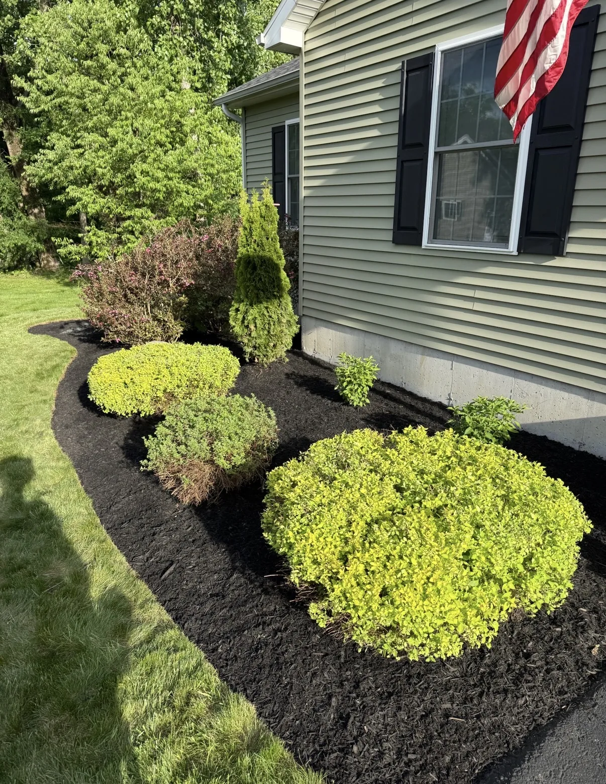 After black mulch installation and shrub trimming