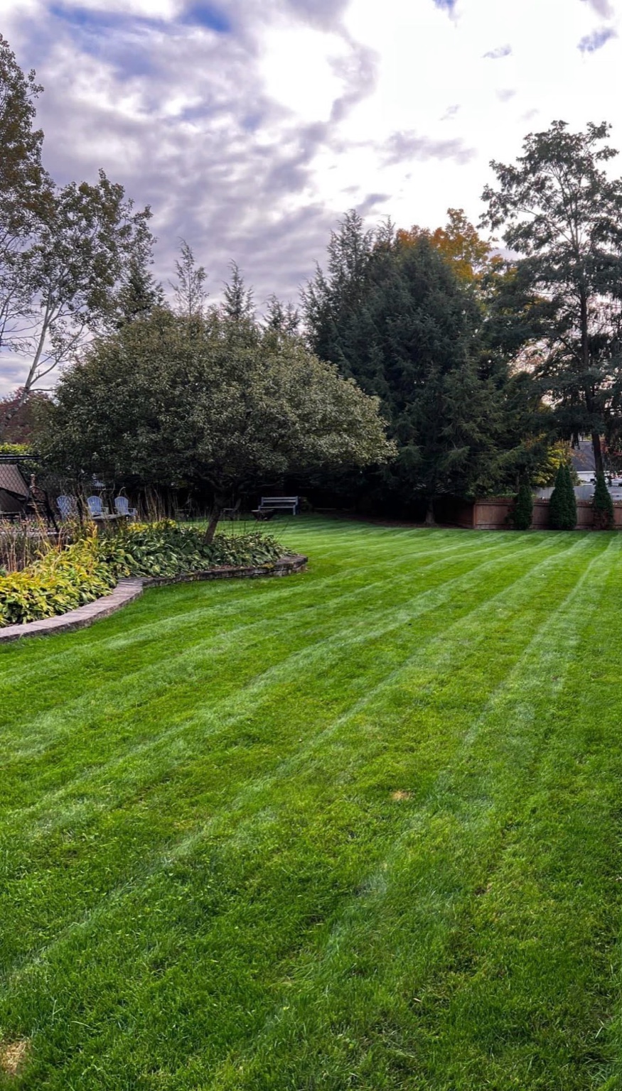 Striped backyard lawn