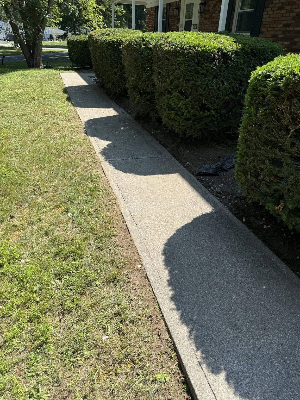 Cleaned walkway and shaped shrubs