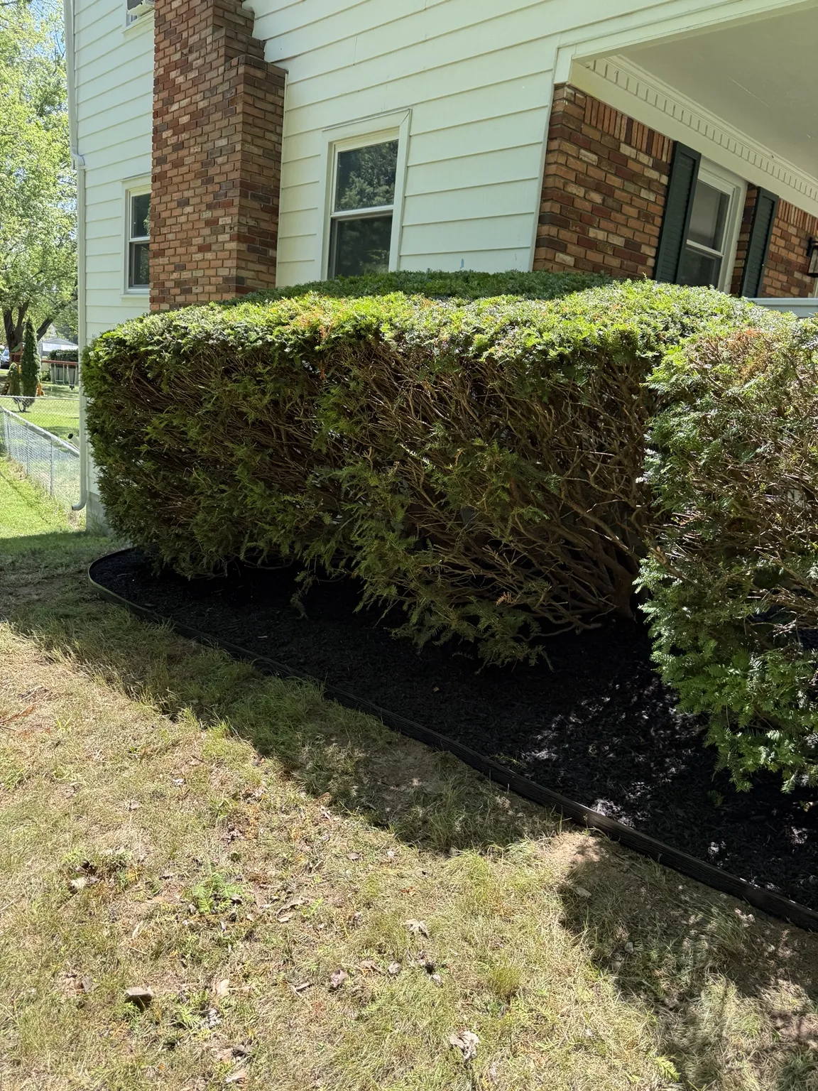 Fresh mulch and trimmed hedge line