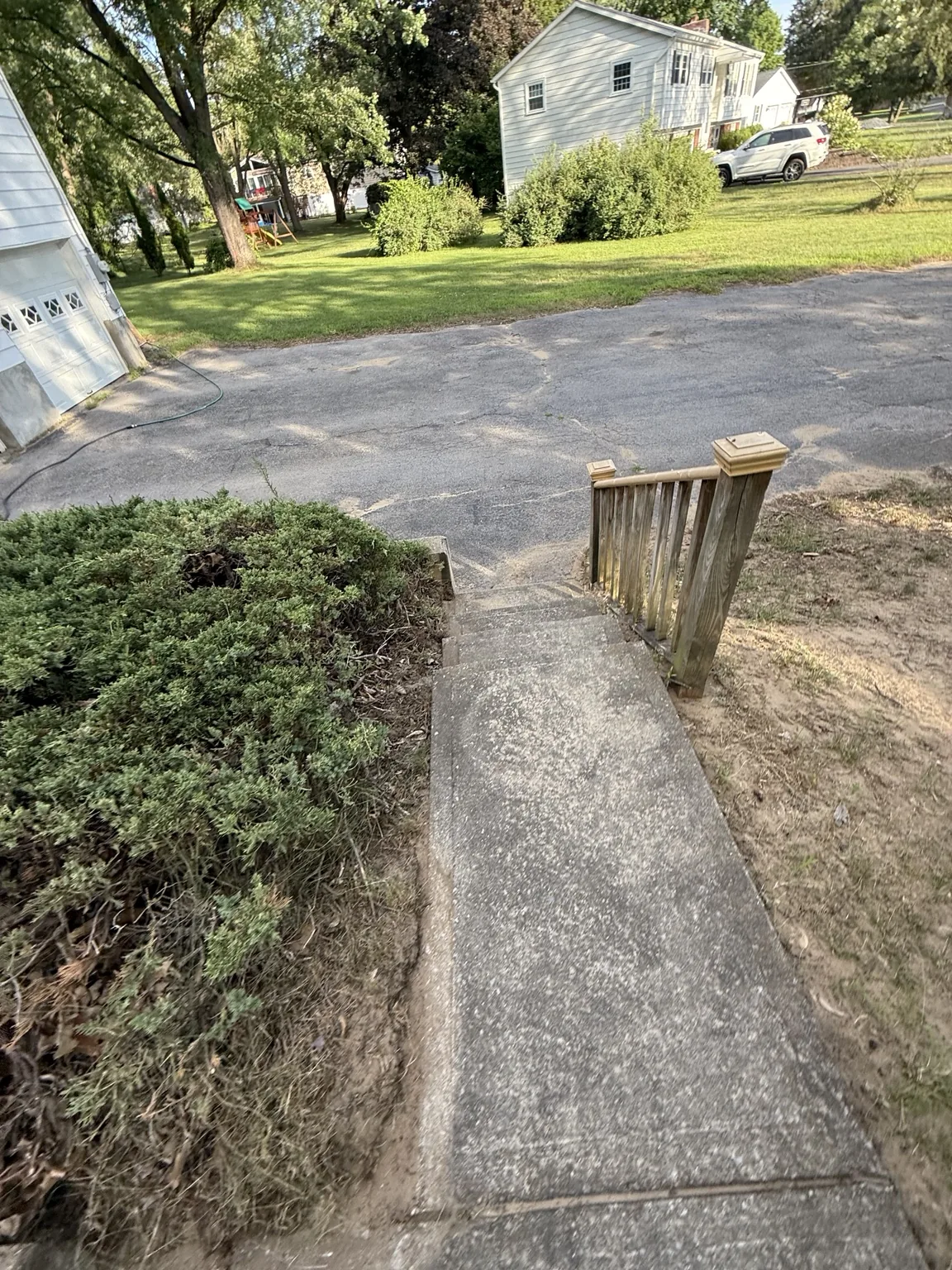 Driveway-side steps before cleaning